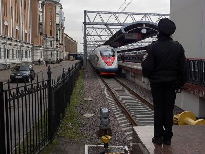 Сапсан. Фото: Евгений Павленко / Коммерсант Сапсан. Фото: Евгений Павленко / Коммерсант